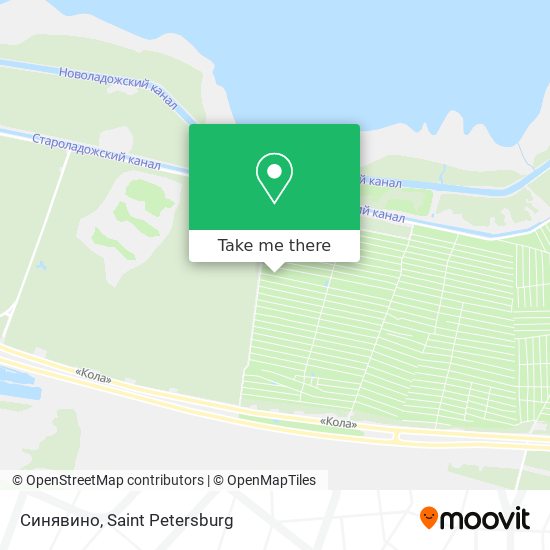 Синявино map