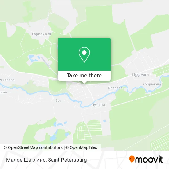 Малое Шаглино map