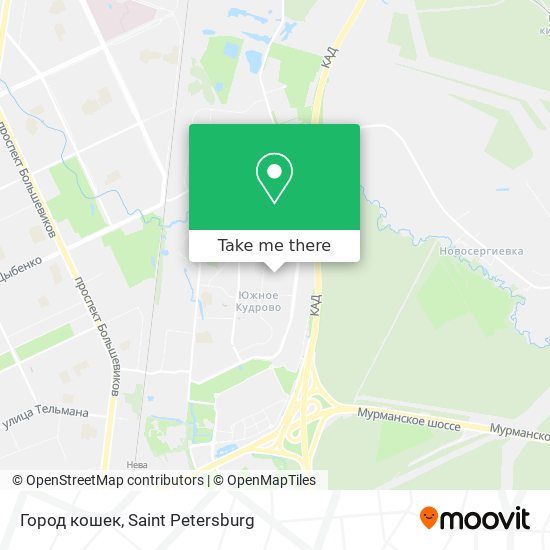 Город кошек map