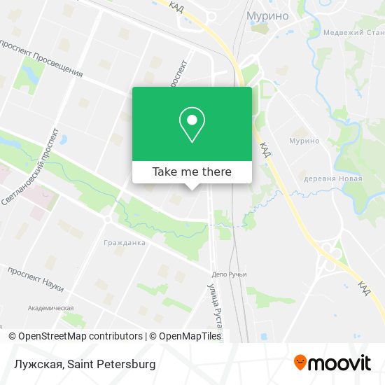 Лужская map