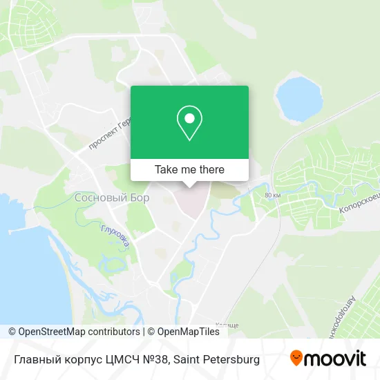 Главный корпус ЦМСЧ №38 map