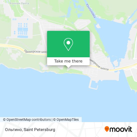 Ольгино map