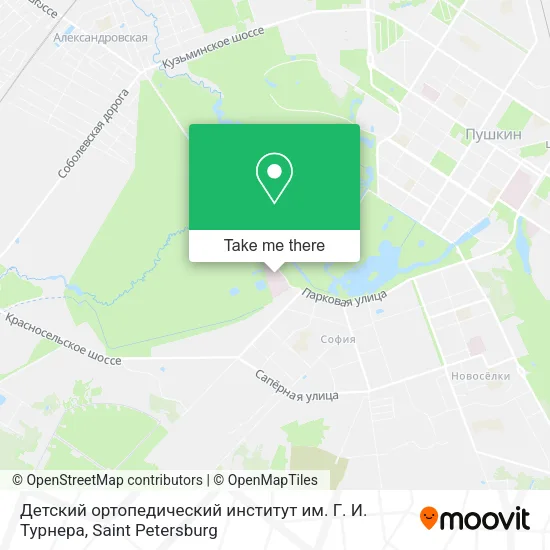 Детский ортопедический институт им. Г. И. Турнера map