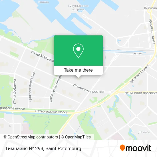 Гимназия № 293 map