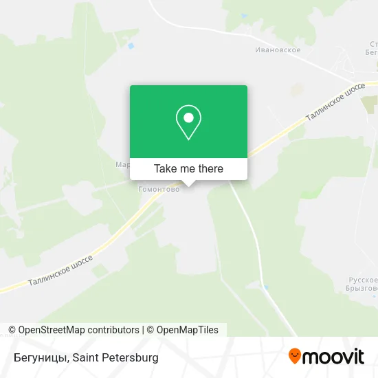 Бегуницы map