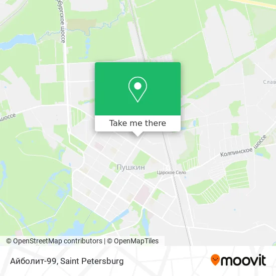 Айболит-99 map