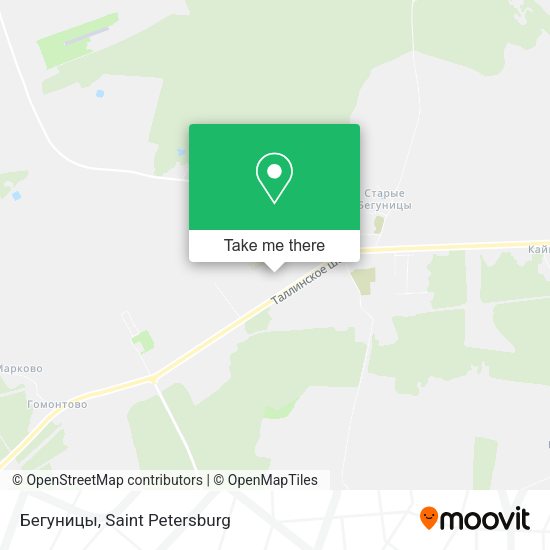 Бегуницы map