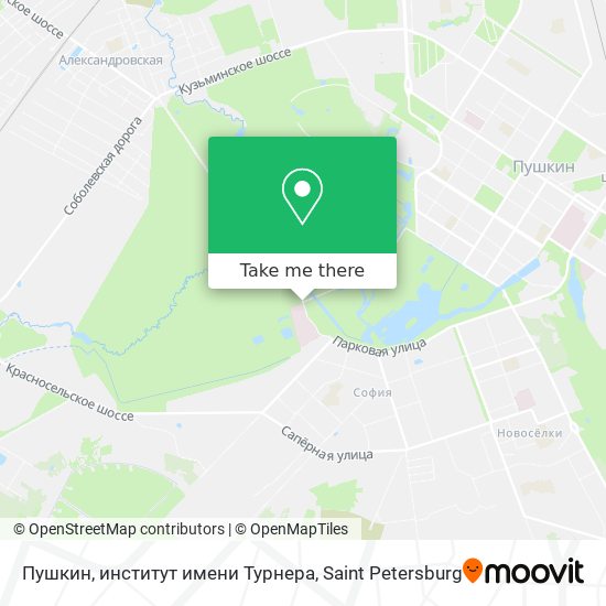 Пушкин, институт имени Турнера map