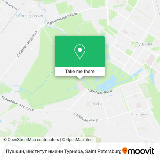 Пушкин, институт имени Турнера map