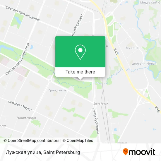 Лужская улица map