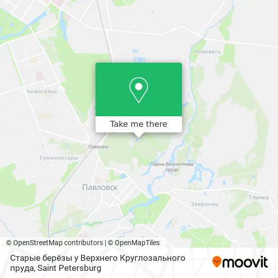 Старые берёзы у Верхнего Круглозального пруда map