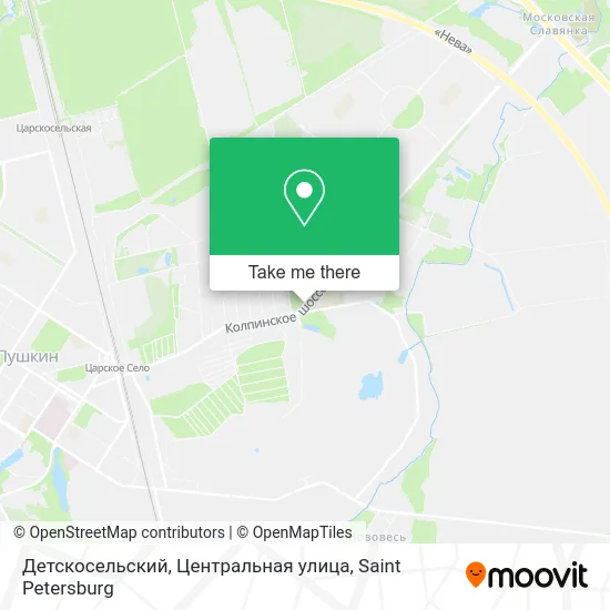 Детскосельский, Центральная улица map
