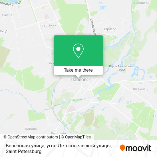 Березовая улица, угол Детскосельской улицы map