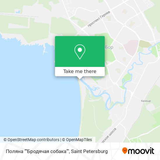 Поляна ""Бродячая собака"" map