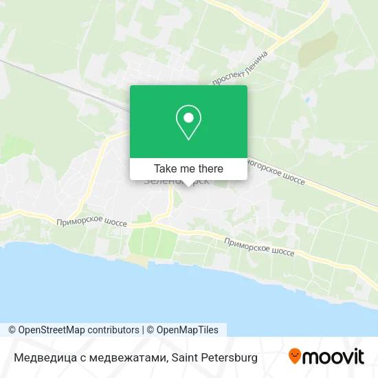 Медведица с медвежатами map
