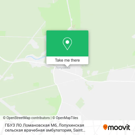 ГБУЗ ЛО Ломановская Мб, Лопухинская сельская врачебная амбулатория map