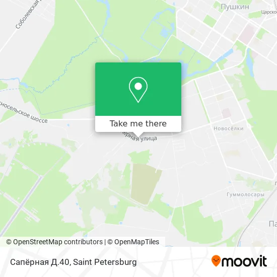 Сапёрная Д.40 map