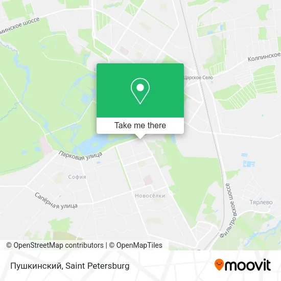 Пушкинский map