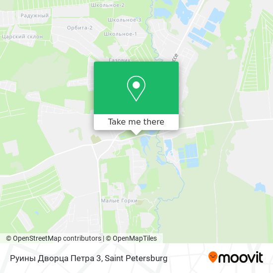 Руины Дворца Петра 3 map