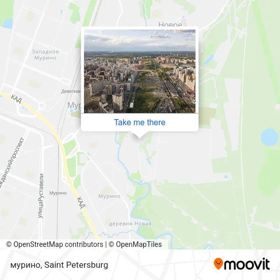 мурино map