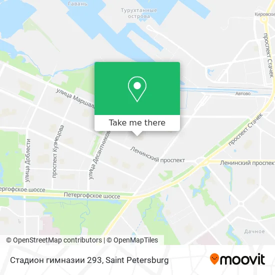 Стадион гимназии 293 map