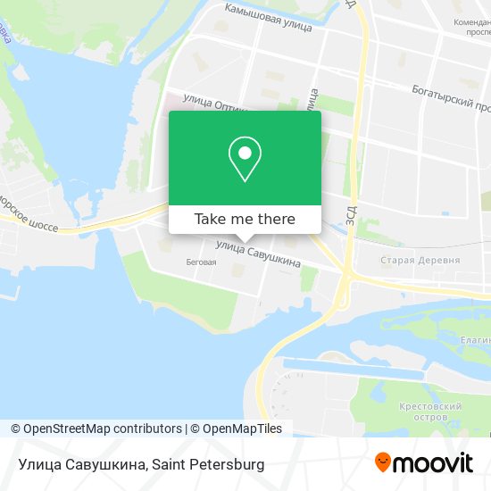 Улица Савушкина map