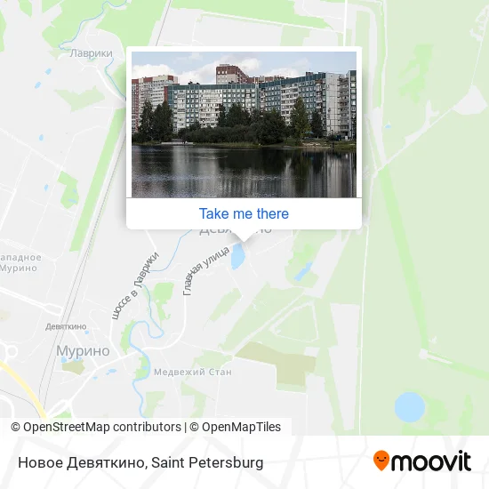 Новое Девяткино map