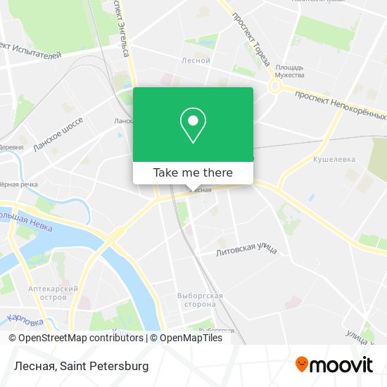 Лесная map