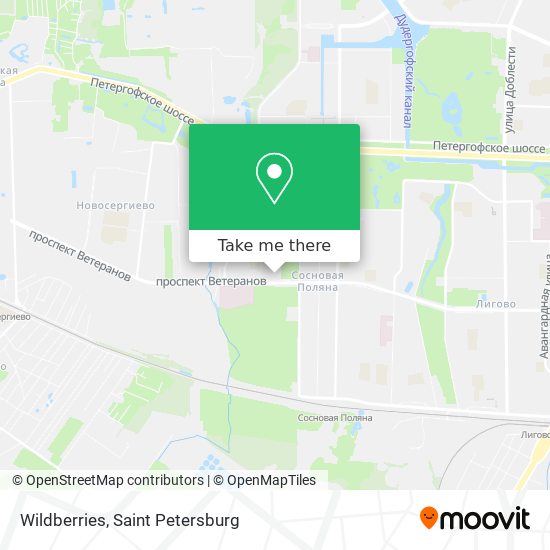 Wildberries map