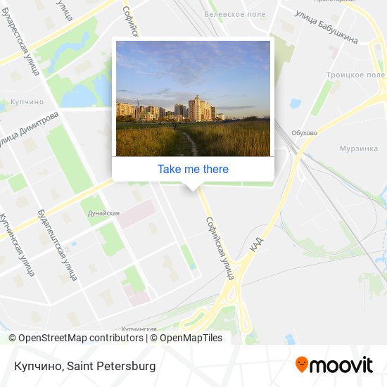 Купчино map