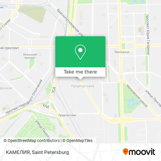 КАМЕЛИЯ map