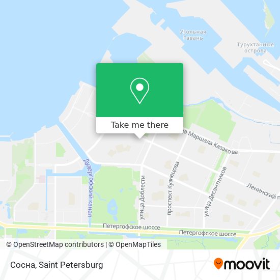 Сосна map