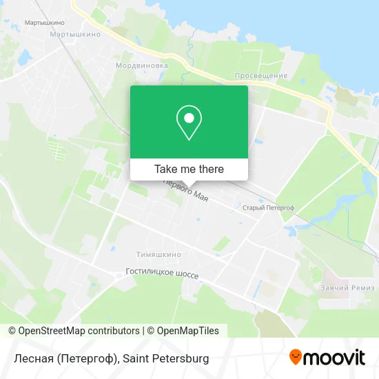 Лесная (Петергоф) map