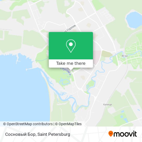 Сосновый Бор map