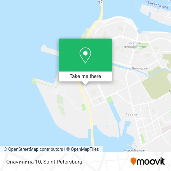 Опачинина 10 map