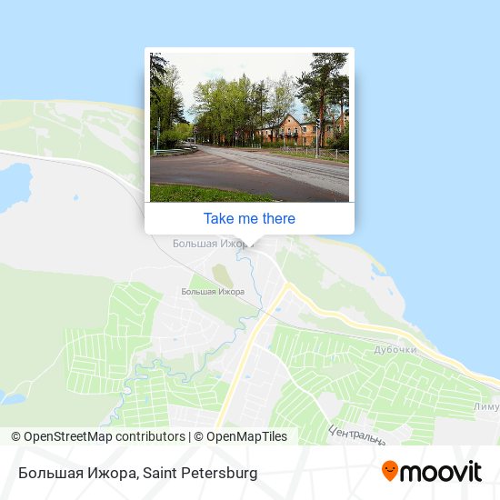 Большая Ижора map