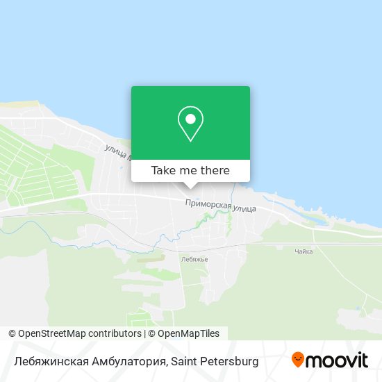 Лебяжинская Амбулатория map