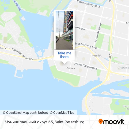 Муниципальный округ 65 map