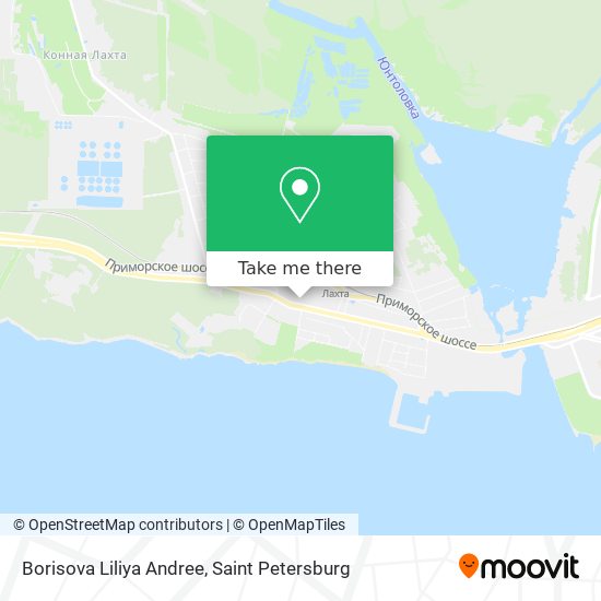 Borisova Liliya Andree map