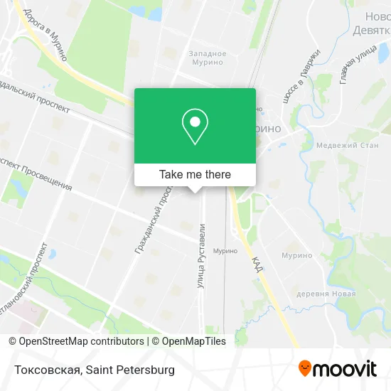 Токсовская map