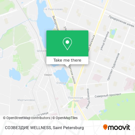 СОЗВЕЗДИЕ WELLNESS map
