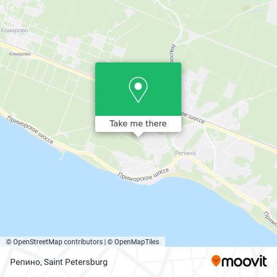 Репино map