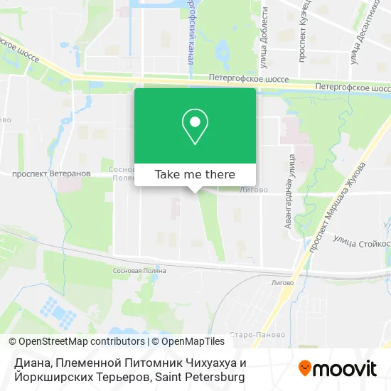 Диана, Племенной Питомник Чихуахуа и Йоркширских Терьеров map