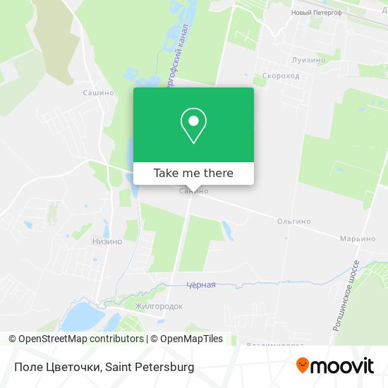 Поле Цветочки map