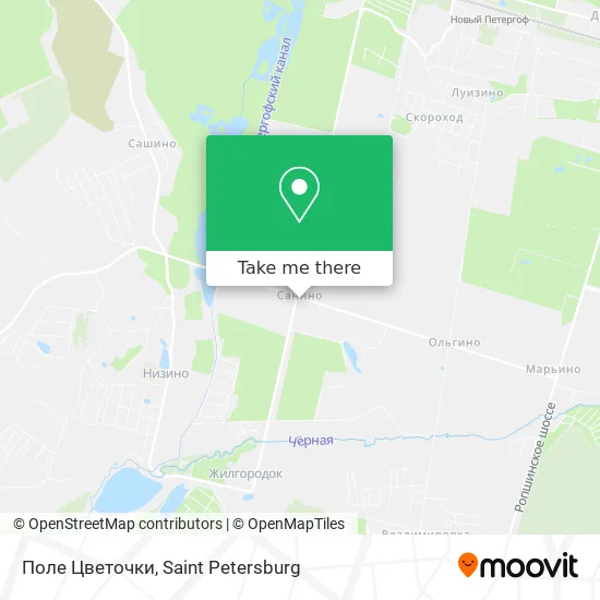 Поле Цветочки map