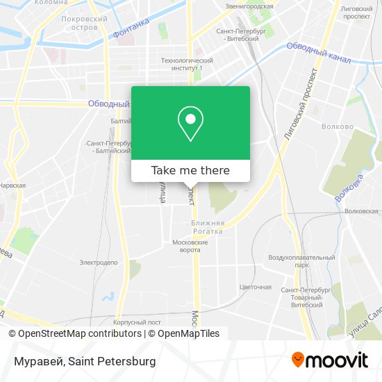 Муравей map