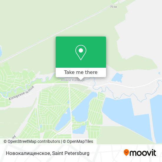 Новокалищенское map