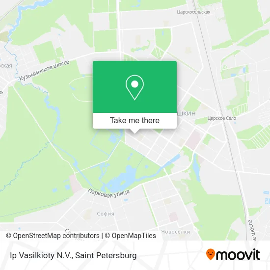 Ip Vasilkioty N.V. map