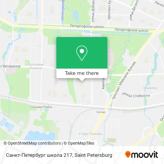 Санкт-Петербург школа 217 map