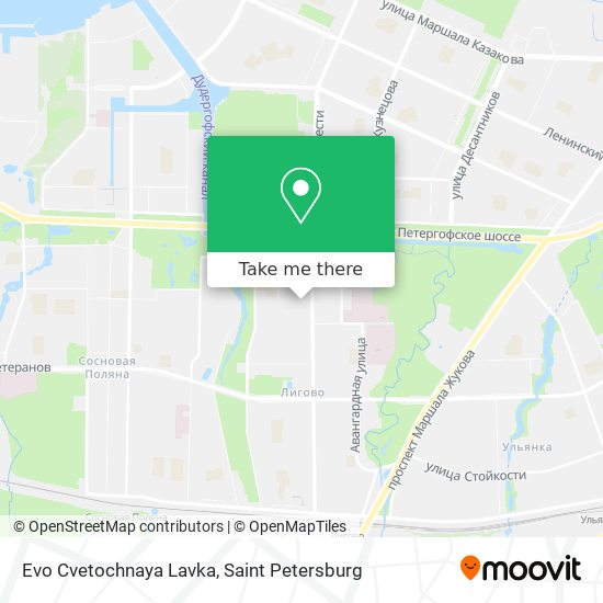 Evo Cvetochnaya Lavka map